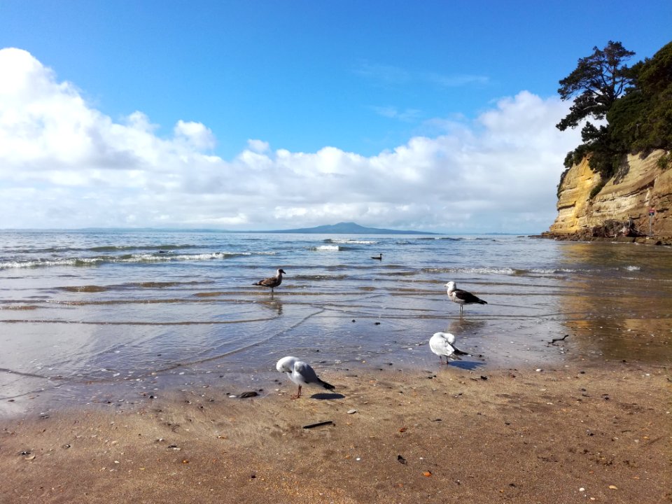 Coast Shore Sea Coastal And Oceanic Landforms