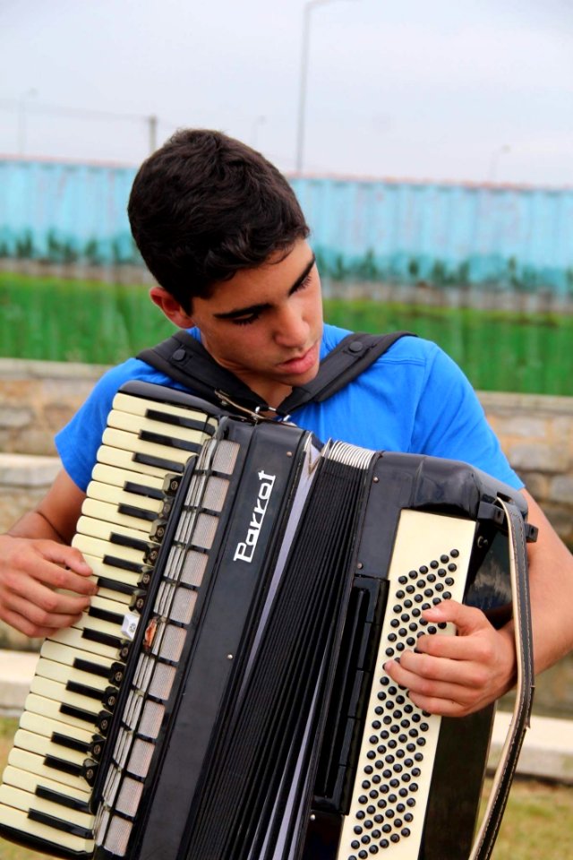Accordionist Accordion Garmon Free Reed Aerophone