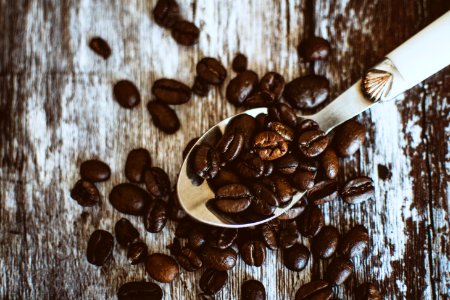 Coffee Beans On Stainless Steel Spoon photo