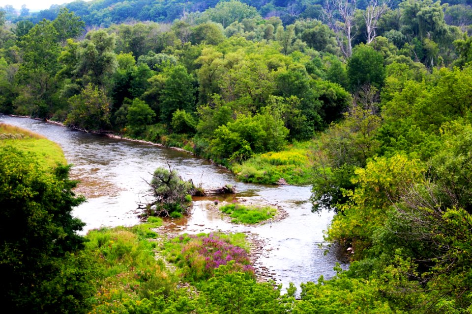 Vegetation Water Nature River