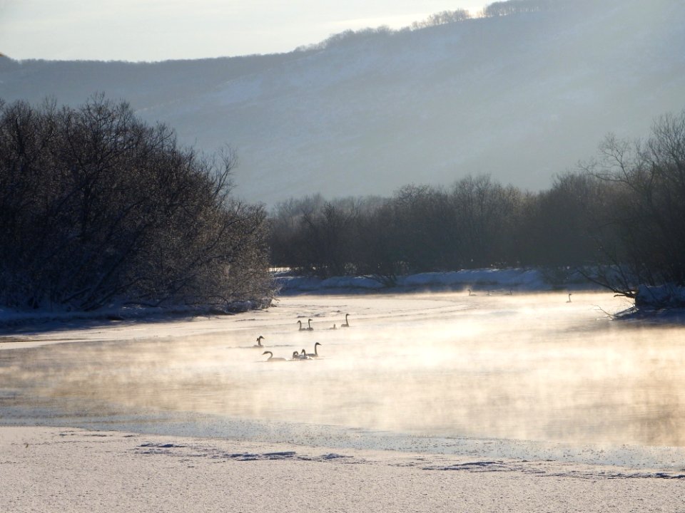 Water Winter Sky Freezing photo