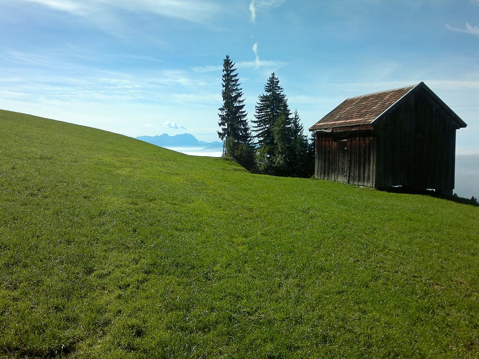 Alm alpine meadow pasture