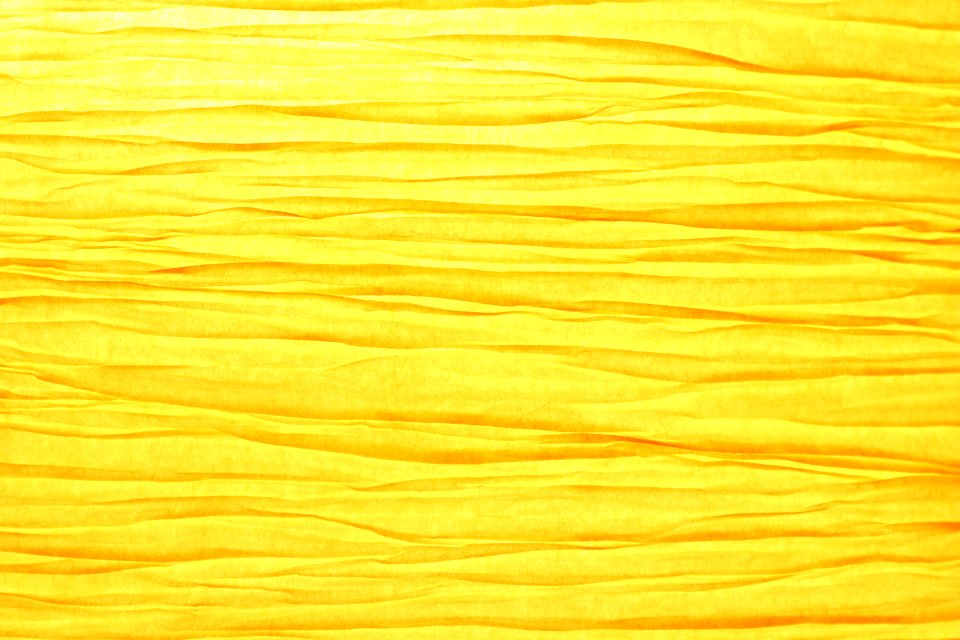 Yellow Orange Wood Line
