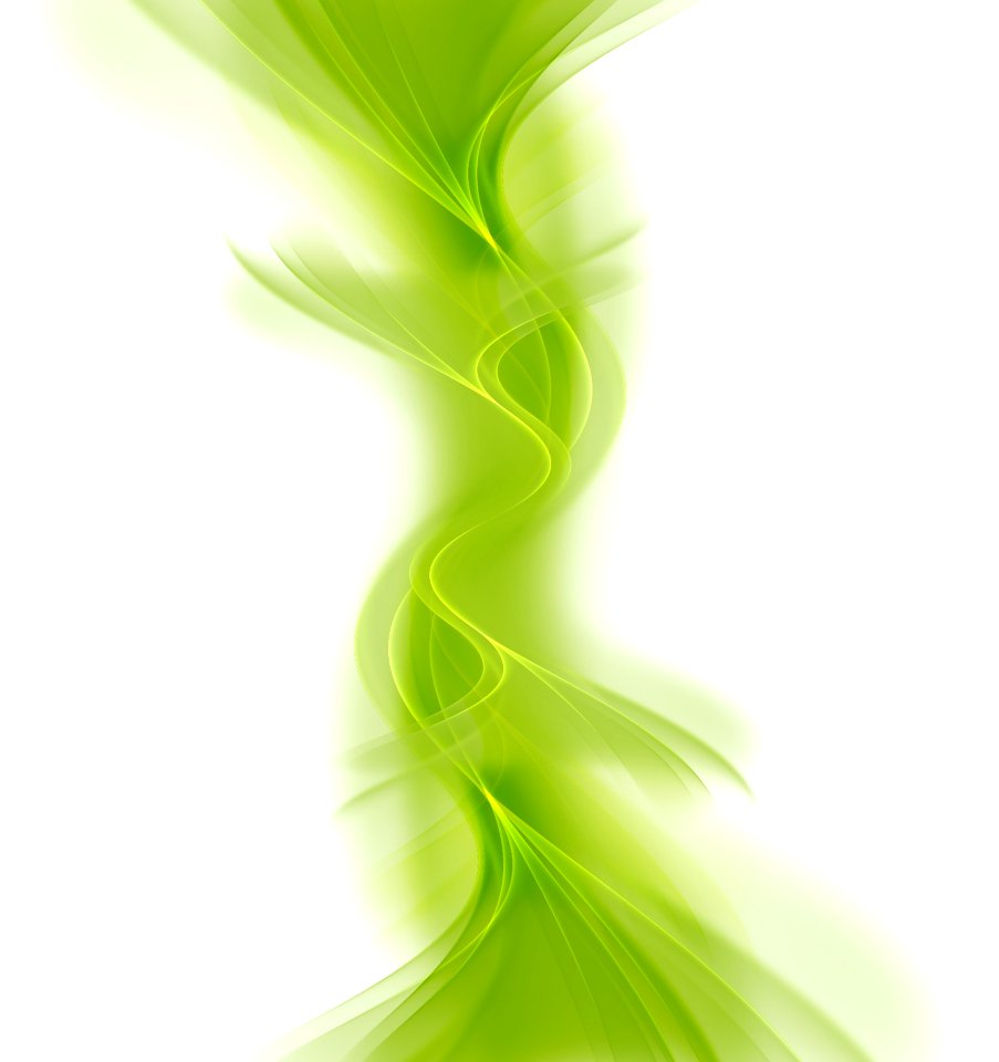 Green Leaf Plant Stem Grass