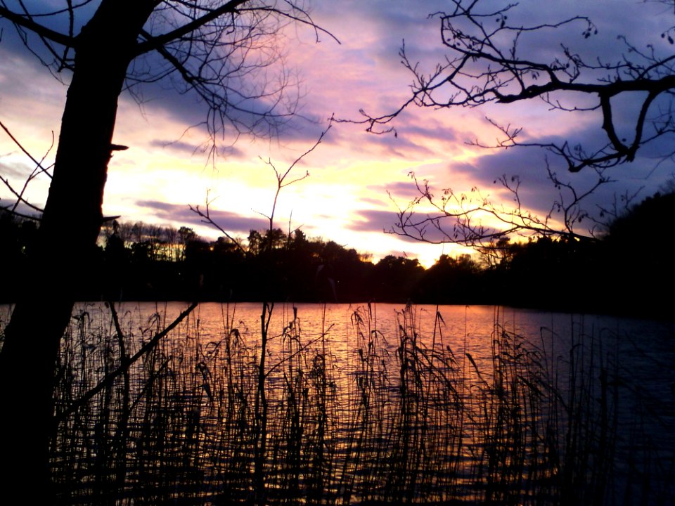 Sky Reflection Water Cloud