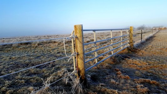 Fence Wood Shore Horizon