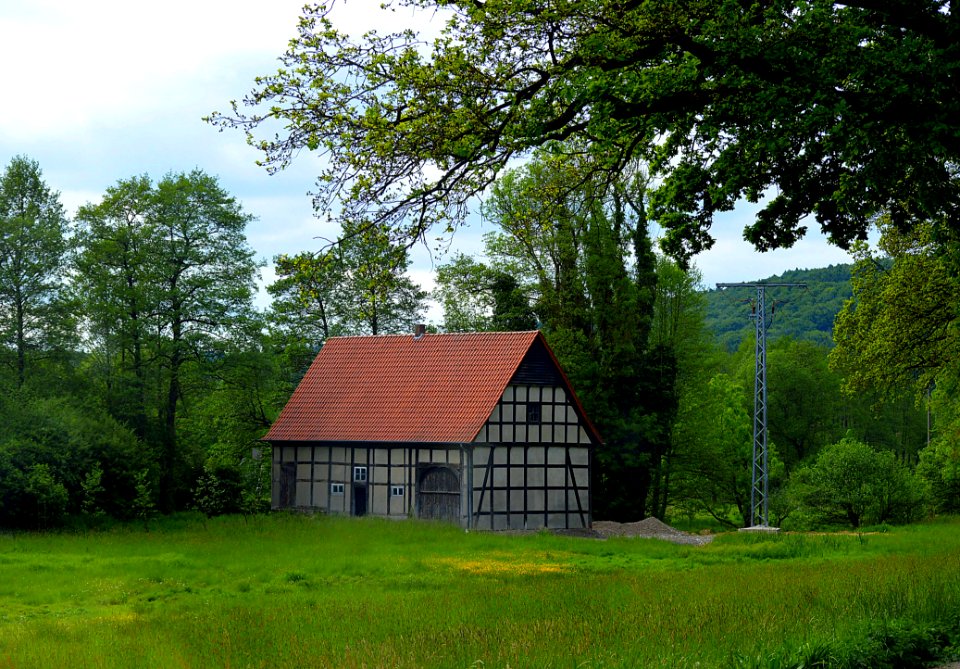 Nature Green House Cottage