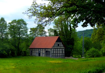 Nature Green House Cottage