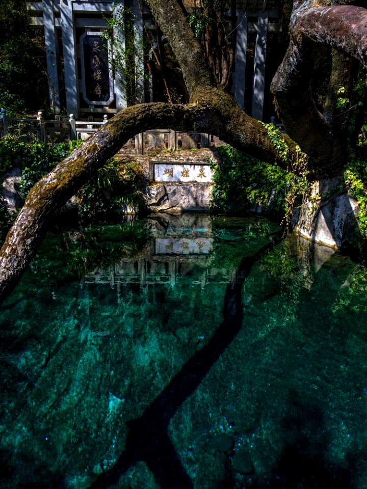 Water Nature Reflection Body Of Water
