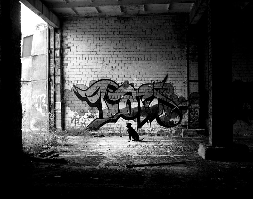 Black And White Infrastructure Monochrome Photography Photography