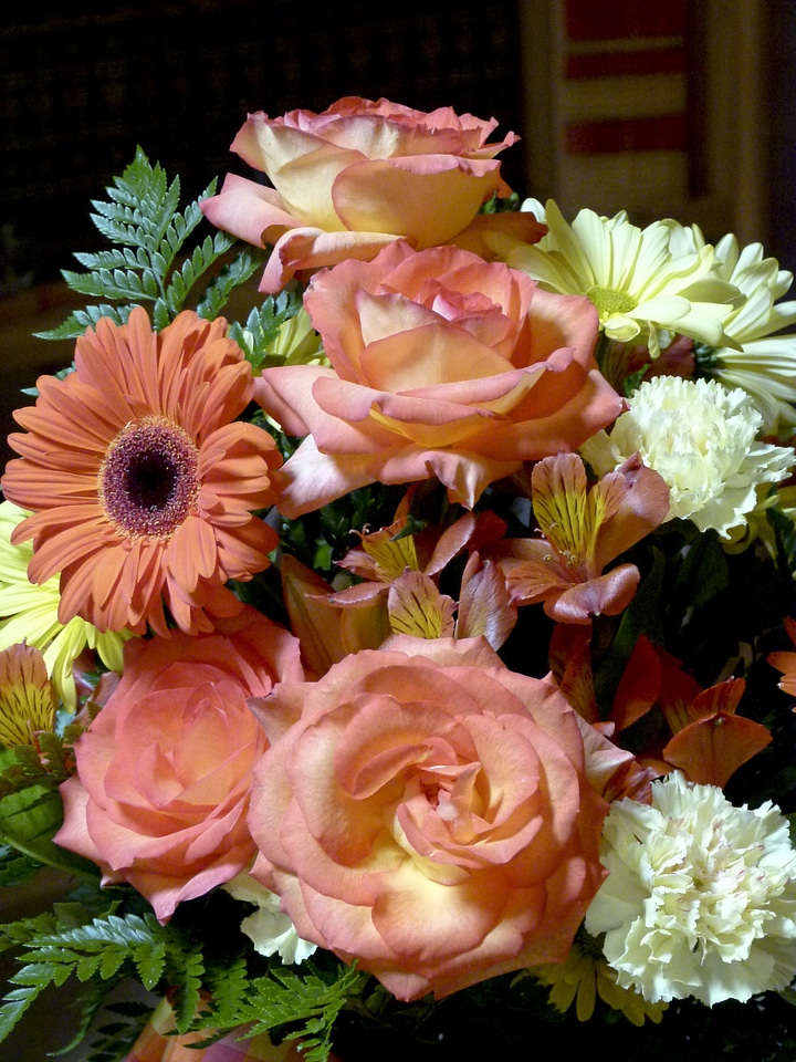 Gerbera arrangement congratulations