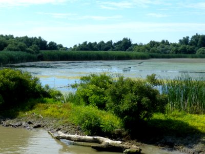 River Waterway Nature Reserve Bank photo