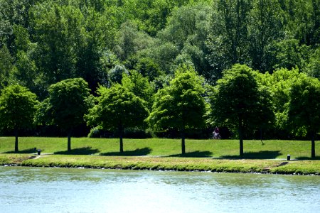Water Nature Green Vegetation