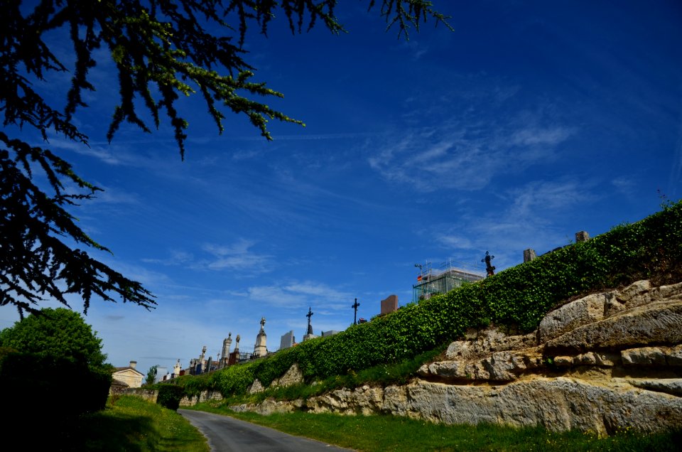 Sky Vegetation Tree Road