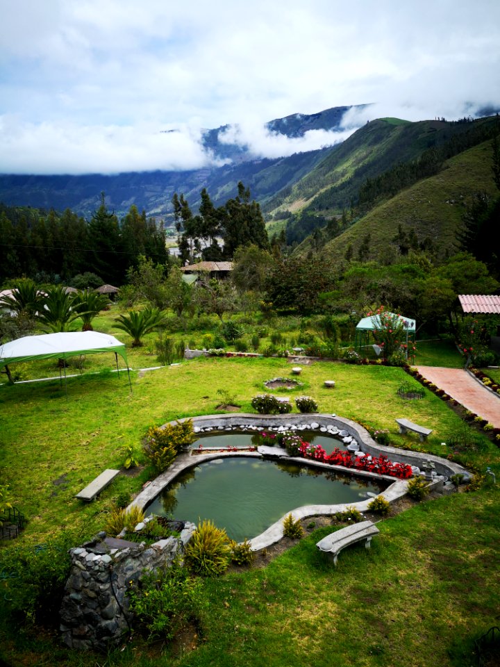 Pond Beside Grass Field And Canopy