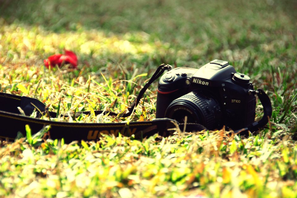 Black Nikon Dslr Camera On Ground