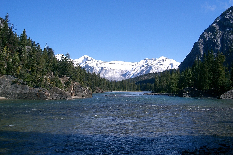 National park alberta forests