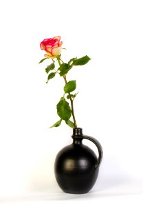 Vase Flower Rose Family Flowerpot photo