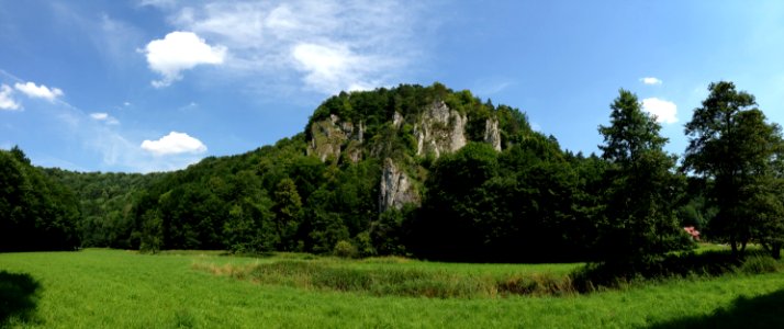 Nature Vegetation Ecosystem Nature Reserve