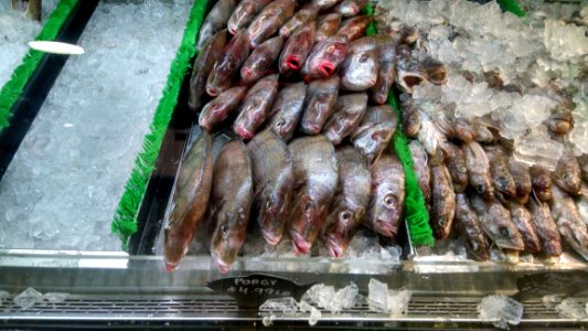 Fish Fish Products Animal Source Foods Meat photo