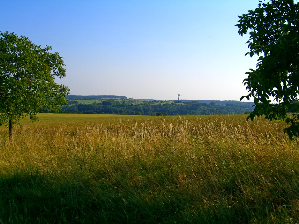 Grassland Prairie Sky Field