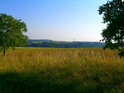 Grassland Prairie Sky Field