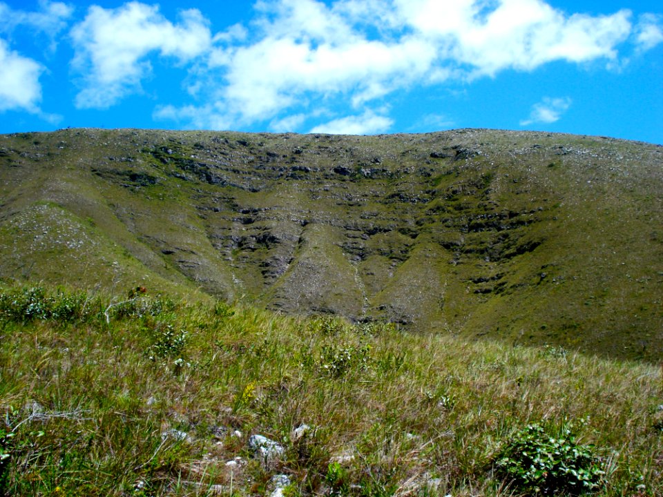 Highland Vegetation Ecosystem Grassland photo