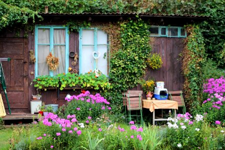 Flower Garden Plant Yard