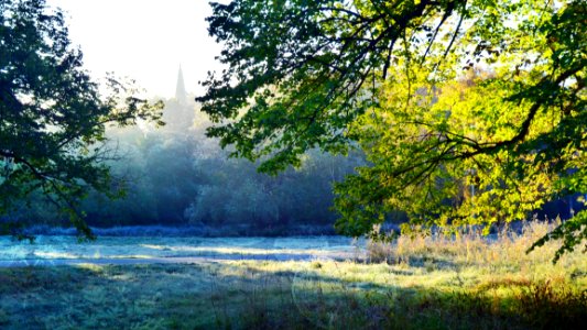 Nature Ecosystem Water Nature Reserve photo