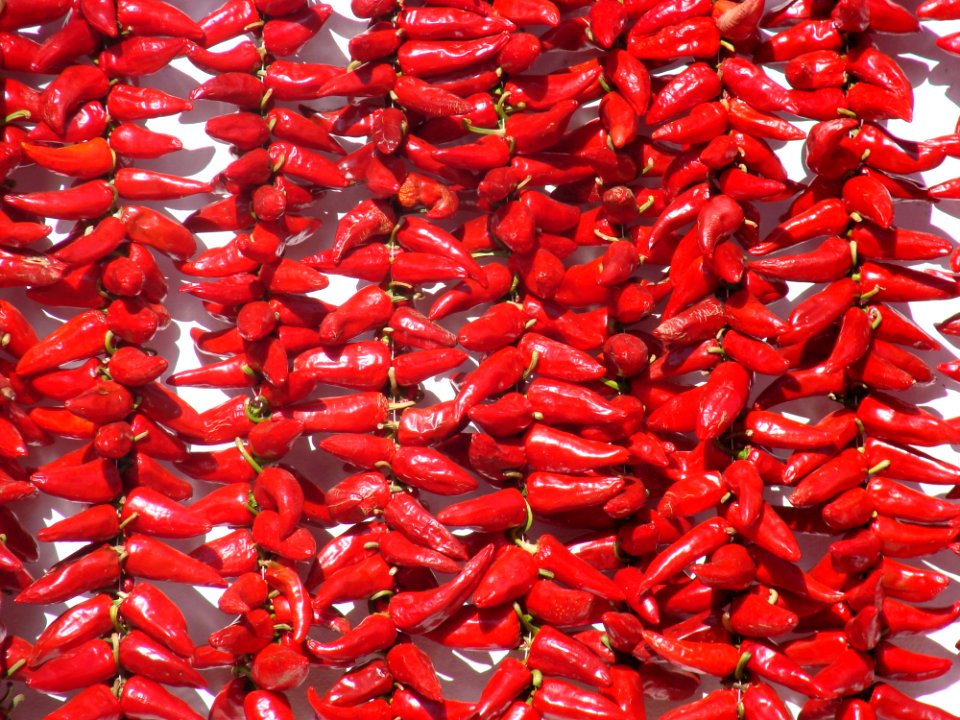 Chile De rbol Malagueta Pepper Chili Pepper Bell Peppers And Chili Peppers
