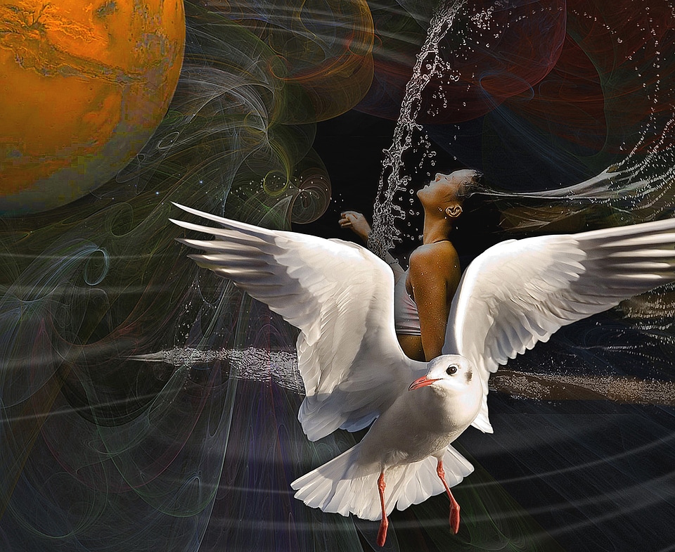 White bird abyss treatment