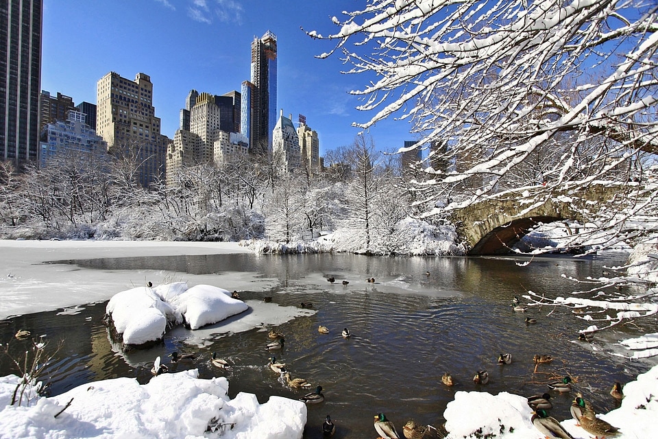 Winter snow ice