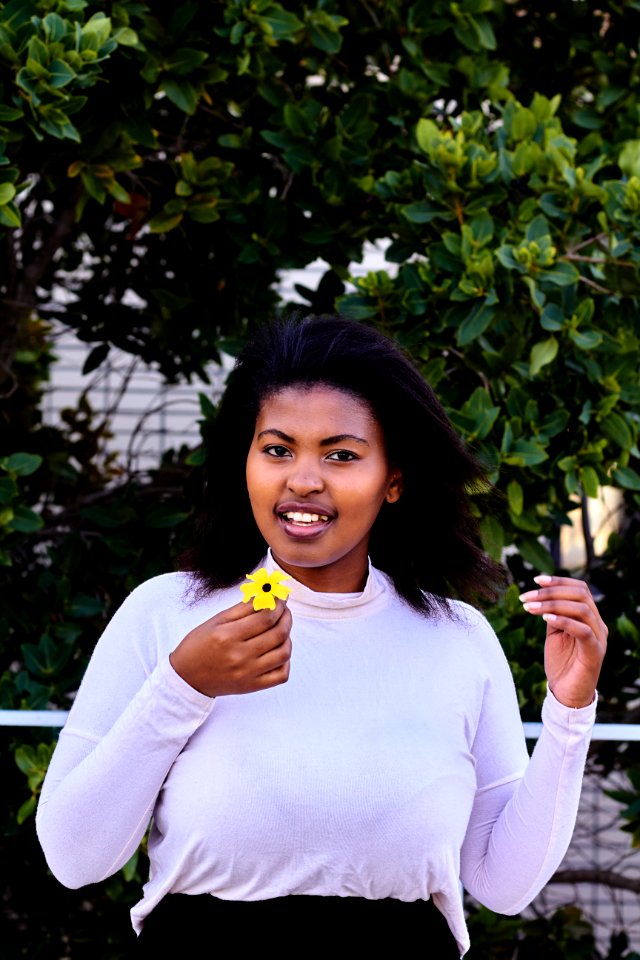 Woman In Purple Turtleneck Sweatshirt Holding Yellow Petaled Flower