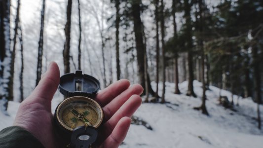 Person Holding Compass In Forest photo