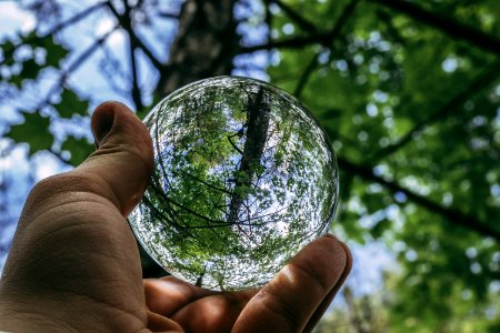 Water Globe Photography Of Green Leaf Tree photo