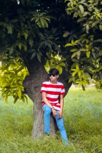 Man Wearing White And Red Stripe Crew-neck Shirt Blue Denim Jeans And Black Wayfarer-style Sunglasses Sitting Tree