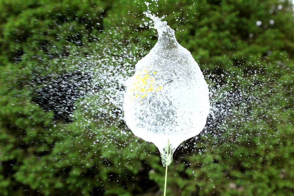 Grass Water