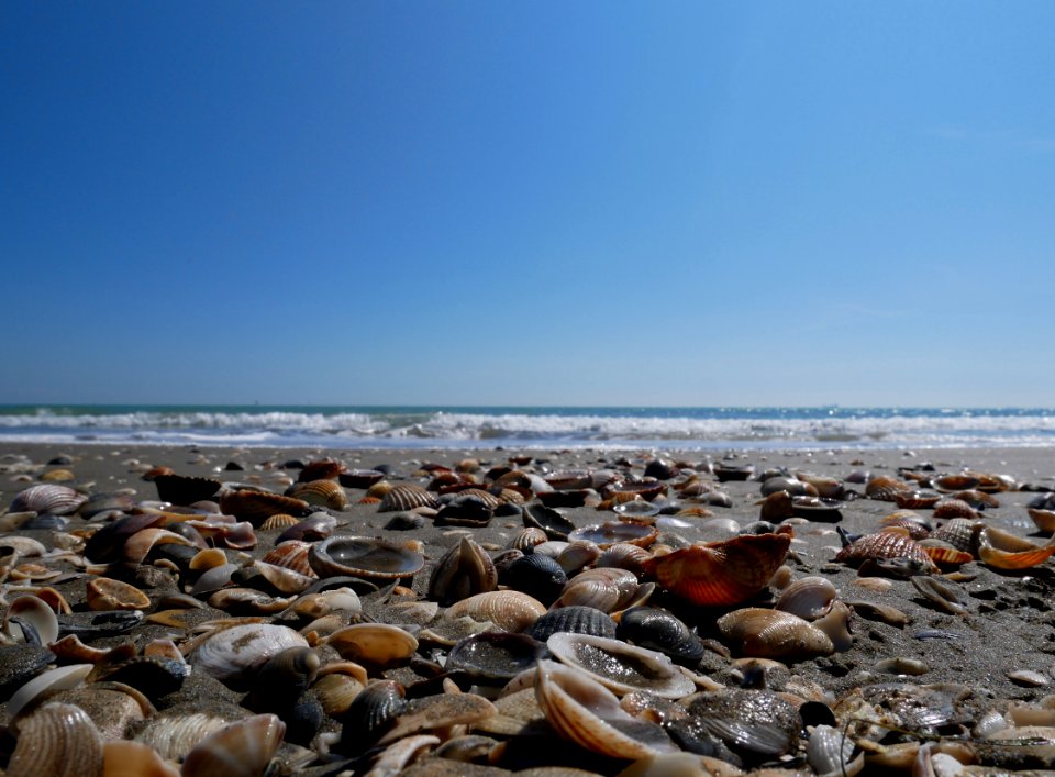 Shore Sea Sky Coastal And Oceanic Landforms