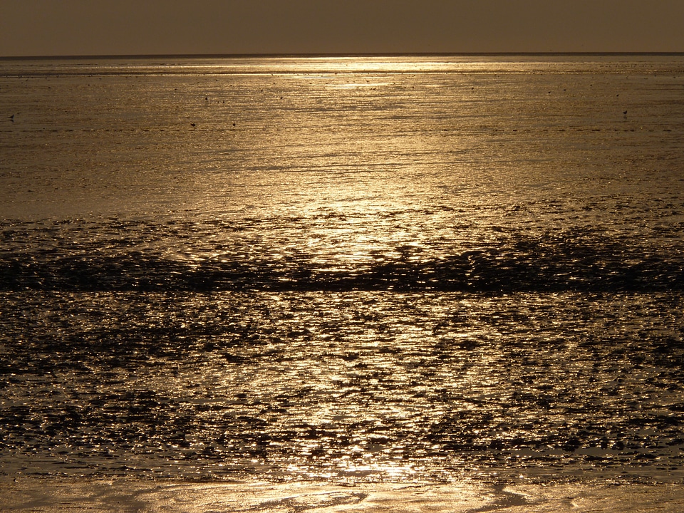 Water sunset sparkle