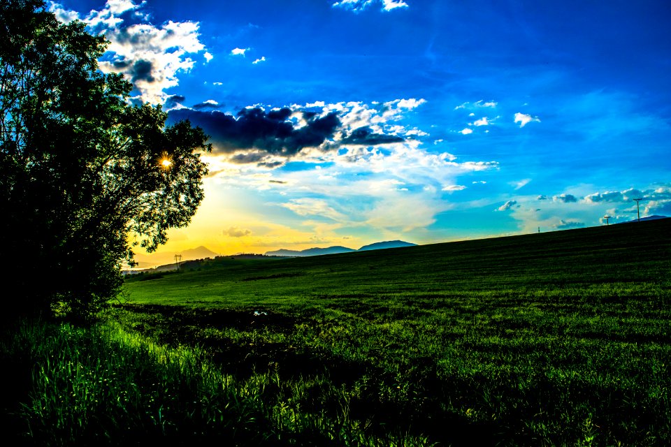 Sky Grassland Nature Field