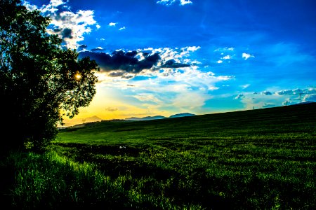 Sky Grassland Nature Field