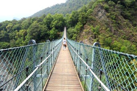 Bridge Suspension Bridge Nature Reserve Rope Bridge photo