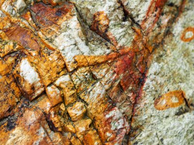 Rock Geology Bedrock Organism photo