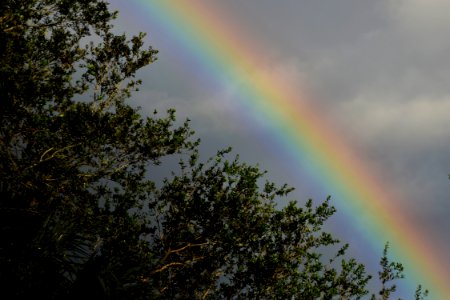 Rainbow Sky Meteorological Phenomenon Phenomenon