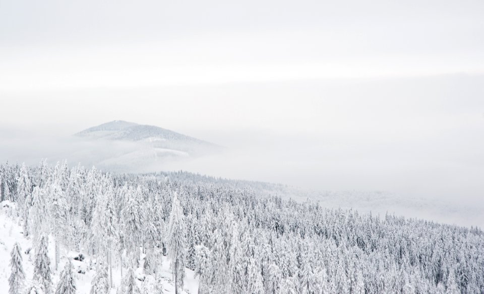 Winter Snow Sky Freezing