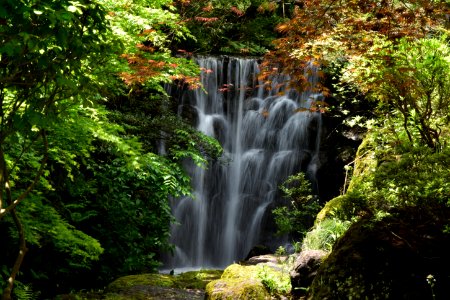 Waterfall Water Nature Vegetation