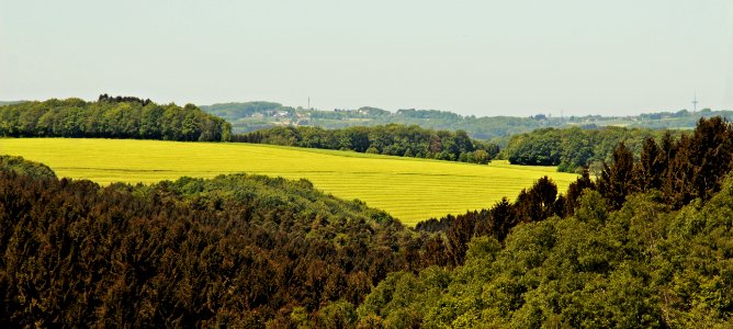 Agriculture Rural Area Field Leaf