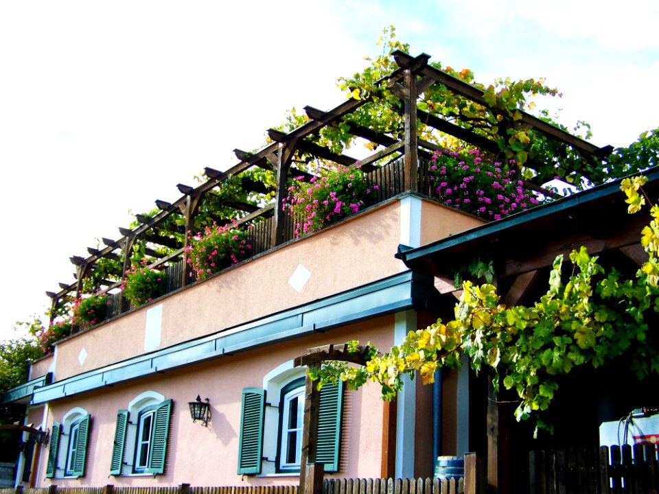 House Architecture Tree Plant