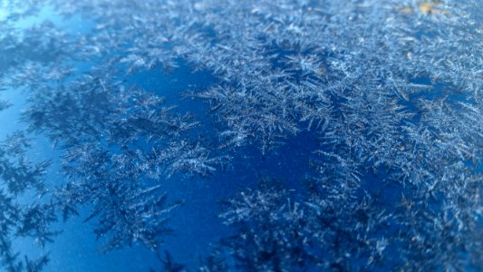 Blue Frost Freezing Winter photo