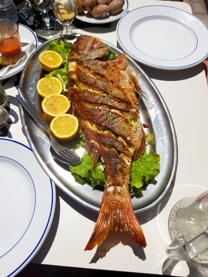 Dish Food Seafood Animal Source Foods